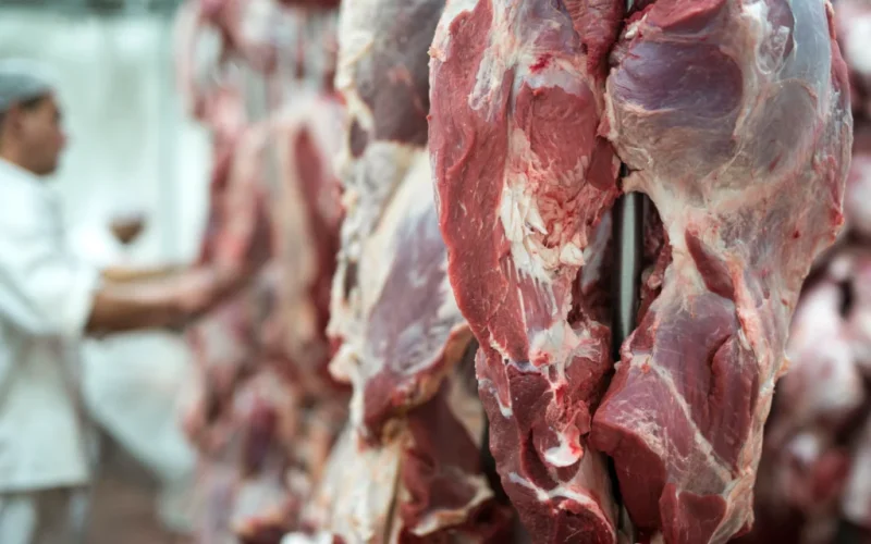 Reino Unido Ignora UE e Mantém Compra de Carnes Brasileiras: Uma Vitrine para o Agronegócio Nacional?