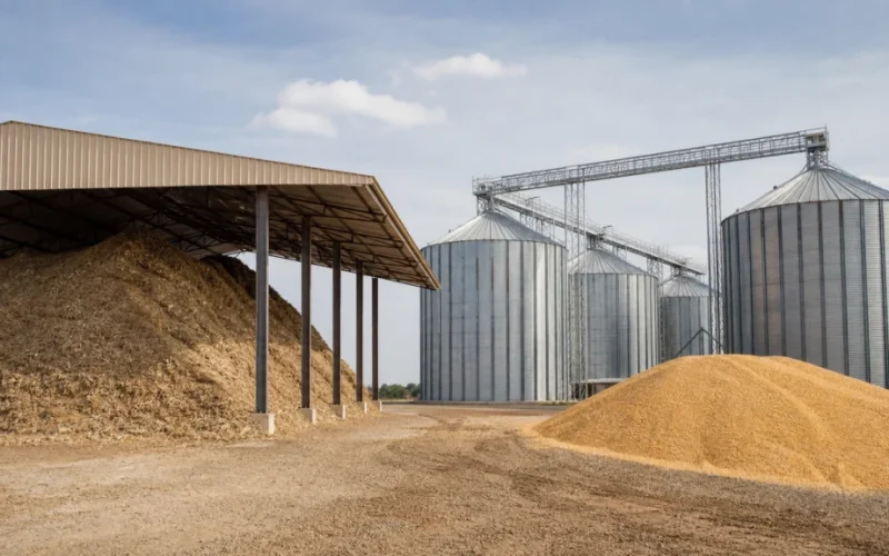 Alimentação Mais Barata Impulsiona Lucratividade do Confinamento Bovino no 3º Trimestre de 2026