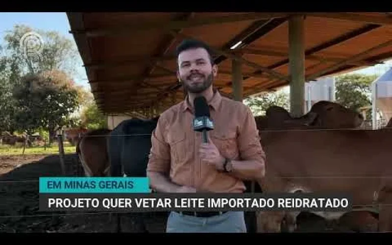ALMG Proíbe Leite em Pó Importado Reconstituído: Impacto Direto nos Pecuaristas Mineiros e no Mercado Leiteiro Brasileiro