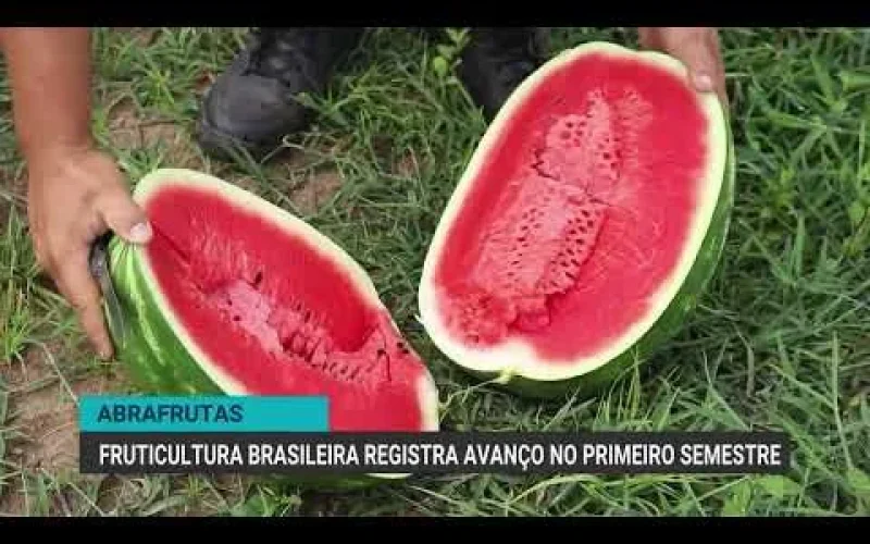 Fruticultura Brasileira: Exportações Disparam em 2026 e Superam Expectativas em Meio a Desafios Globais!