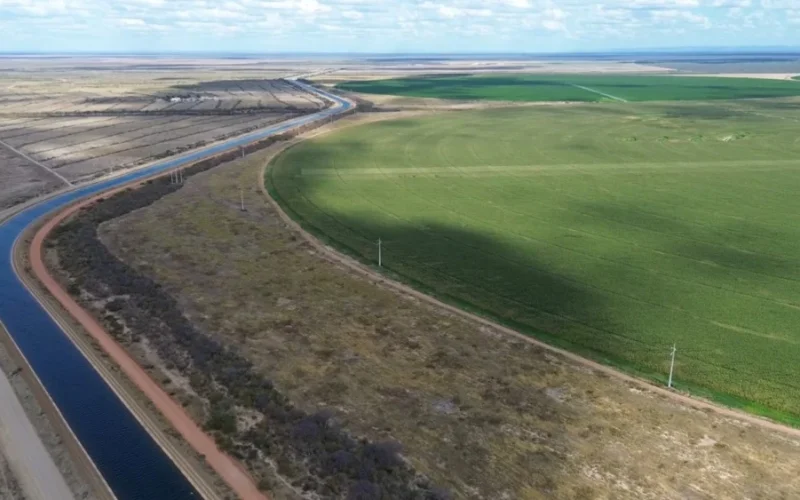 Baixio de Irecê: A Revolução da Agricultura Irrigada que Transforma o Sertão Baiano e Abre Caminhos para Investimentos