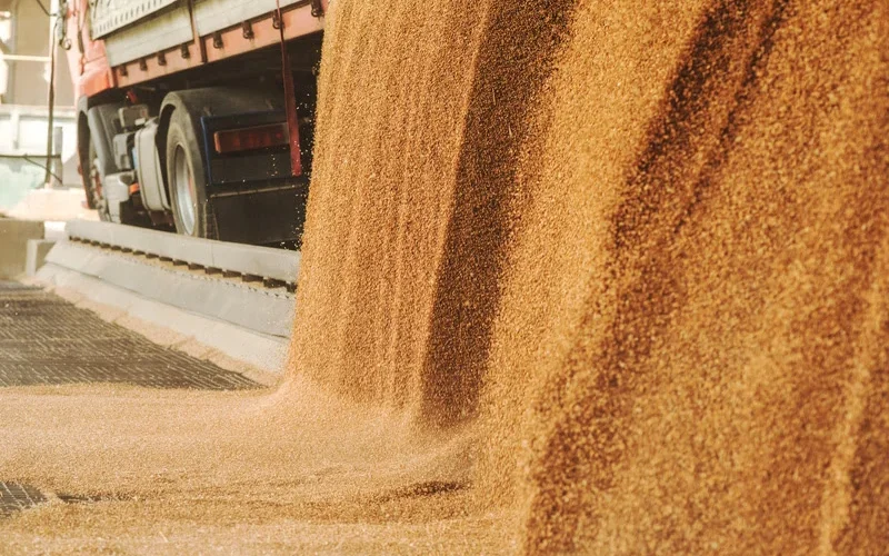Alerta Tributário: Transportadoras de Agronegócio Podem Enfrentar Aumento de 414% na Carga com Reforma Tributária