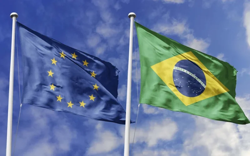 Frango Brasileiro Fora da Europa Até Novembro: Crise nas Exportações e Negociações Complexas