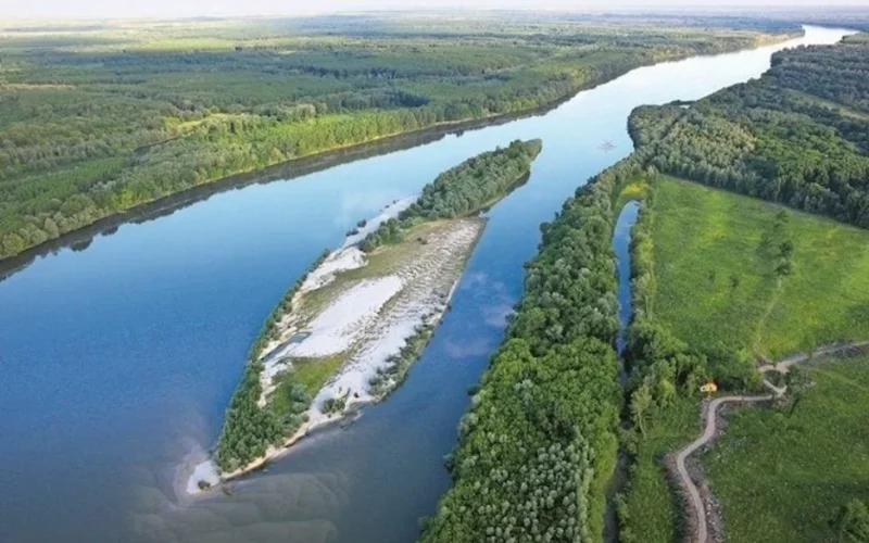 Liberland: O Paraíso Cripto dos Bilionários onde o Voto é Comprado e o Futuro é Digital