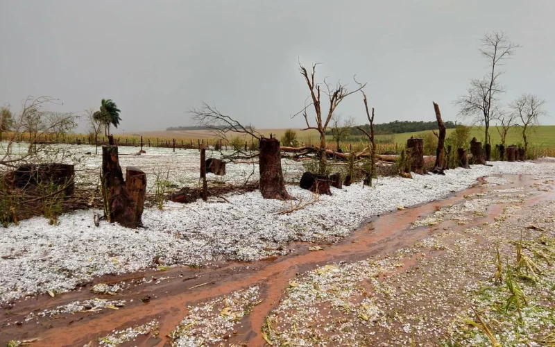 Alerta de Chuvas Fortes e Granizo: Impactos da Meteorologia no Agronegócio e Economia do Brasil