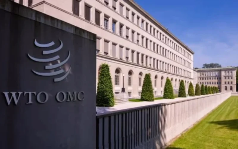 Brasil Aciona OMC Contra Tarifas dos EUA: Entenda o Impacto em Suas Exportações e o Futuro do Comércio Bilateral