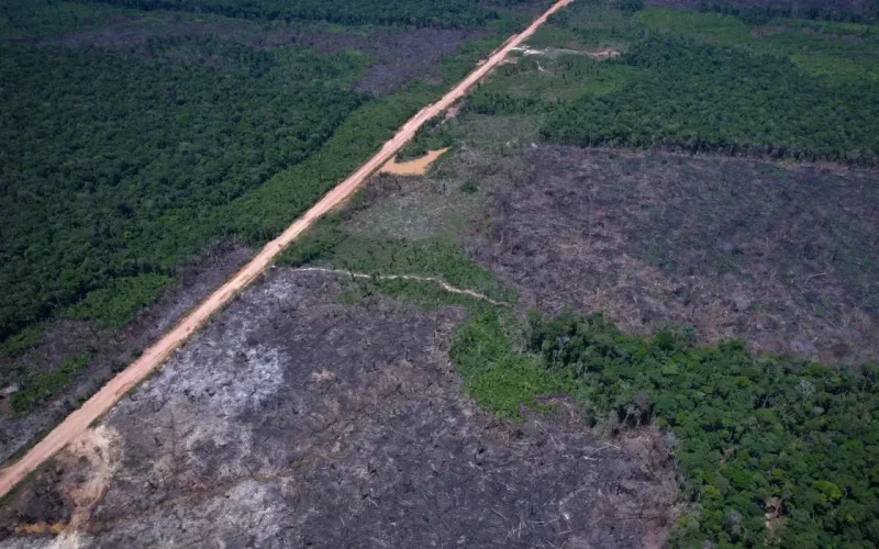 Eco Invest Brasil: 5º Leilão Abre Caminho para Financiamento de Inovação Verde e Industrial no Brasil