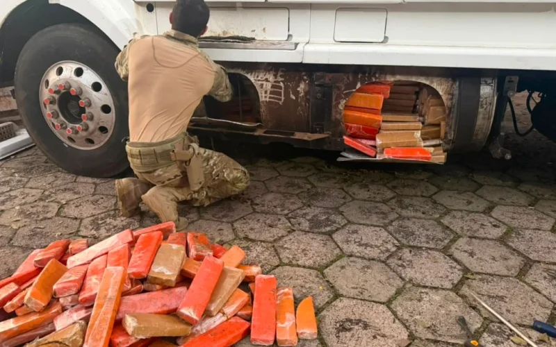 Cão Farejador Revela Rota de Tráfico: Mais de Meia Tonelada de Maconha Descoberta em Carreta de Milho