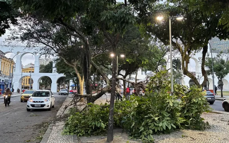 Vendaval no Rio: Milhares sem luz, prejuízos e alerta para redes elétricas e seguros
