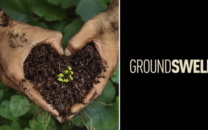 Documentário 'Renascer da Terra' Revela Agro Regenerativo: Lucrativo, Mas Escala e Segurança Alimentar Ainda São Desafios