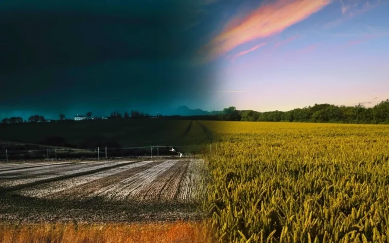 Frente Fria se Afasta: Como a Mudança no Tempo Impacta o Agronegócio e a Economia Brasileira Hoje