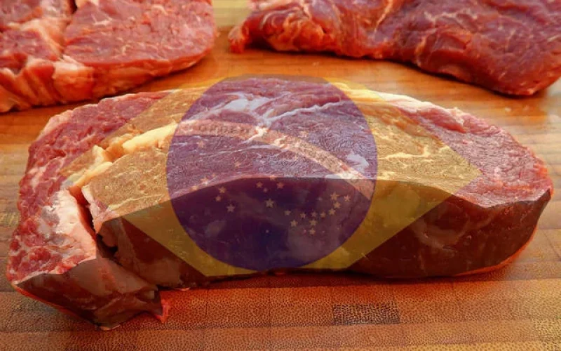 Carne Bovina Brasileira Fora da Europa: Risco de Dois Anos e Impacto na Pecuária Nacional