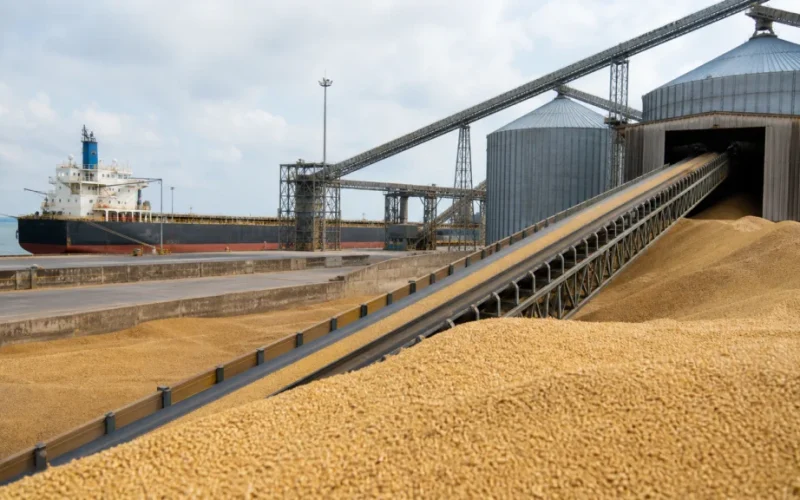 China Garante Soja dos EUA para 2026/27: O Que Significa Para o Agro Brasileiro e Investidores?