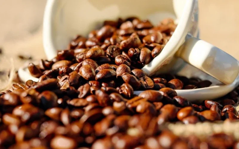 Safra de Café 2026/27: Colheita Atinge 84% no Brasil, Mas Ritmo Atrasado Gera Alerta no Mercado