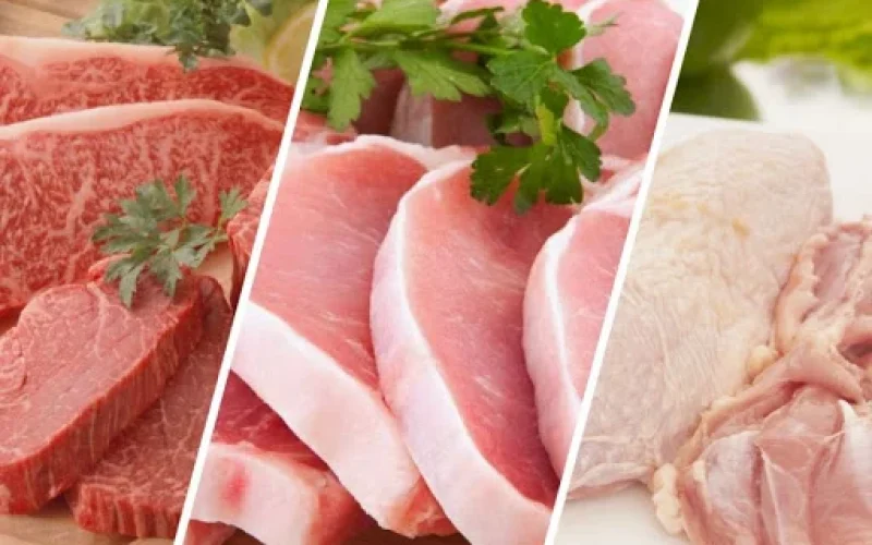 Proteína Animal 2026: Frango Dispara, Suíno em Crise e Bovino Busca Novas Rotas de Exportação