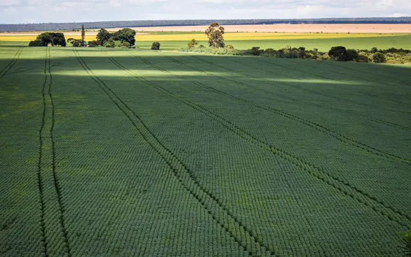 ITR 2026: Declaração de Imóvel Rural Online Chega para Simplificar e Exigir Mais, Veja Como Se Adaptar Já!
