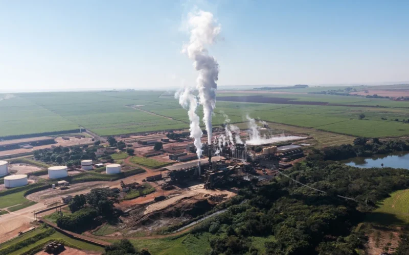 Lucro da São Martinho (SMTO3) despenca 39,3% no 1T27: entenda os motivos e o impacto na safra