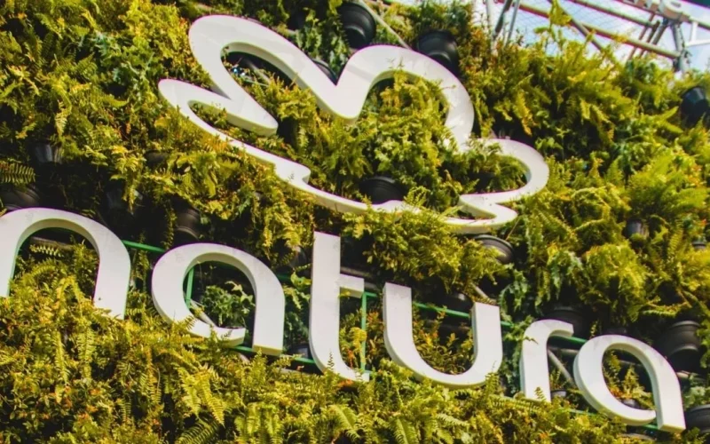 Lucro da Natura (NATU3) em Queda Livre: Veja o Impacto de 82% e o Que Isso Significa para o Seu Investimento