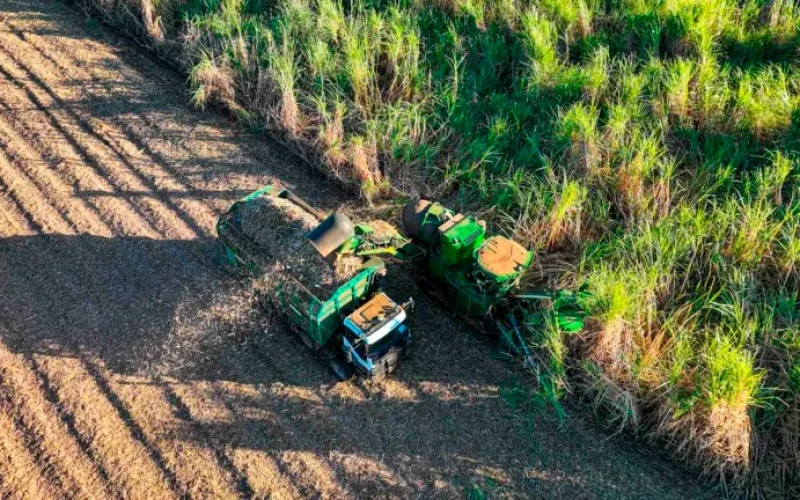 Nova Cana Dobra Produtividade em Teste: Revolução Agrícola ou Adoção Lenta? Barreiras e Oportunidades para o Setor Sucroenergético