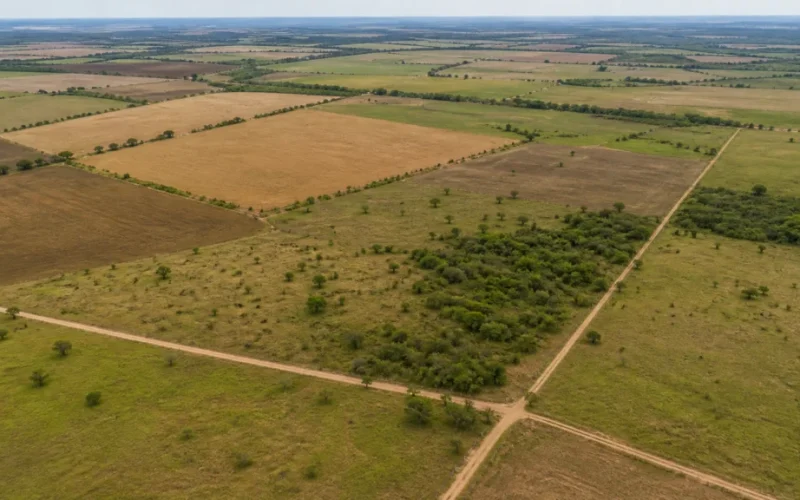 Reforma Agrária no RJ: 95 Famílias Serão Beneficiadas com Novas Terras em Campos dos Goytacazes