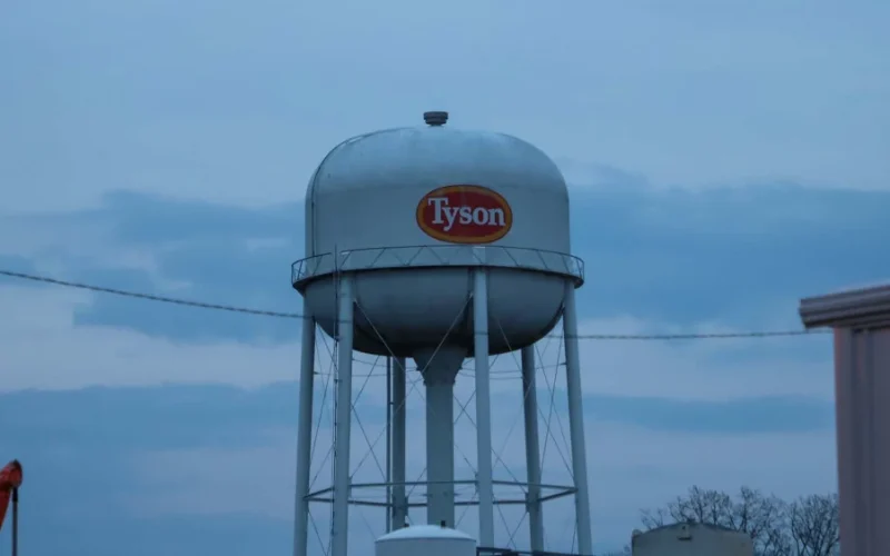 Tyson Foods Reduz Abate em 20% nos EUA: Um Alívio Bem-Vindo para JBS e Marfrig no Mercado Americano