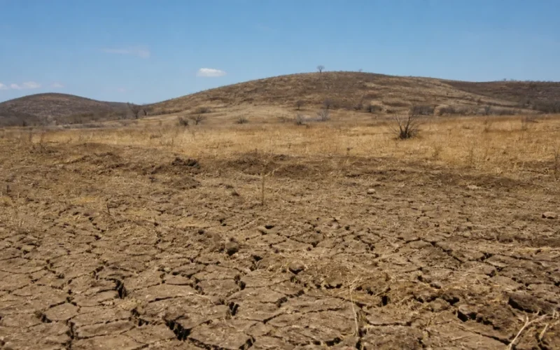 COP17 na Mongólia: Solo, Seca e Pastagens em Foco e o Impacto Econômico Global