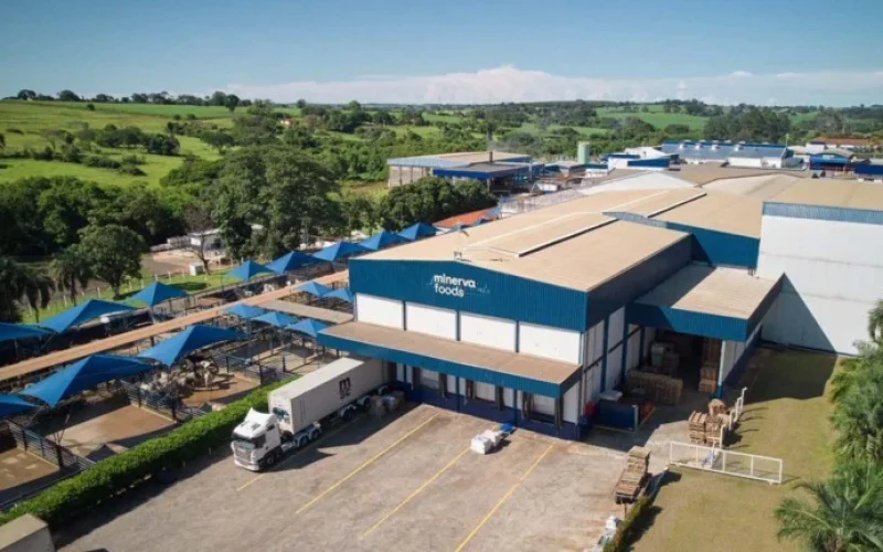 Minerva em Queda Livre: Ações Atropeladas por Dívida e Juros Altos Afundam a 15 Anos