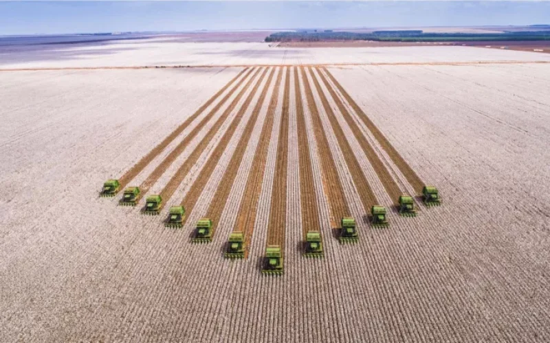 SLC Agrícola: CEO Aurélio Pavinato Acredita que Preços das Commodities Atingiram o Piso, Indicando Recuperação para a Próxima Safra