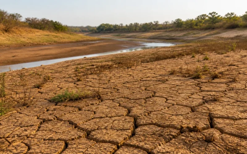 Conab e Defesa Civil unem forças: Oficinas Estratégicas para Mitigar Estiagem na Amazônia e Pantanal