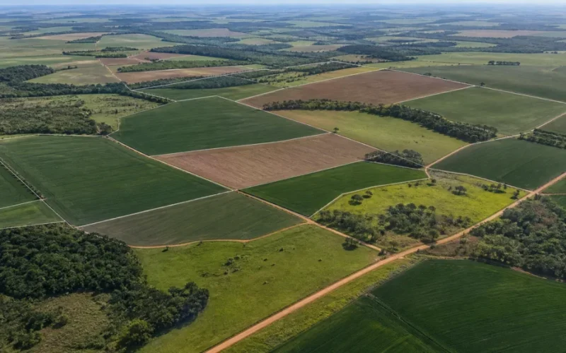 ITR 2026: Novas Regras Podem Travar Sua Declaração de Imóvel Rural! Evite Erros Cadastrais Urgente