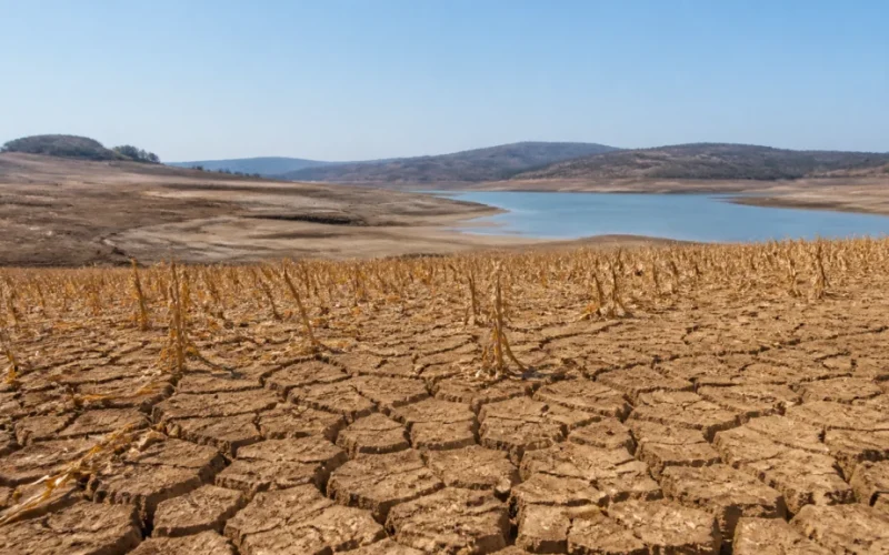 Seca Ameaça Brasil e Mundo: COP17 Discute Crise Hídrica e seus Impactos Econômicos Urgentes