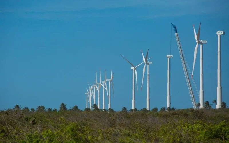 Economia Verde no Nordeste: Projeto Mapeia Riquezas e Desafios para um Futuro Sustentável e Lucrativo