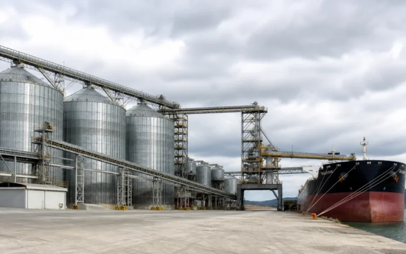 Exportação de Trigo Russo em Agosto Pode Cair para Menor Nível Desde 2010: Entenda o Impacto no Mercado Global