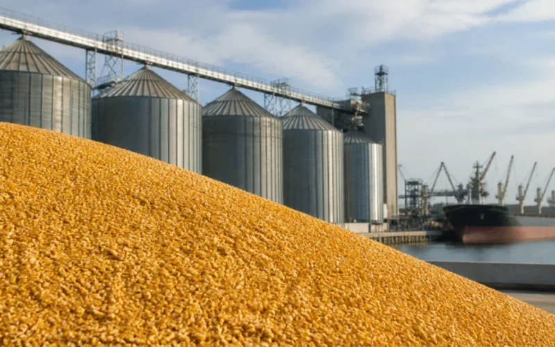Vendas de Milho dos EUA: USDA Revela Queda na Safra 2025/26 e Alta nos Embarques, Impactando o Mercado Global