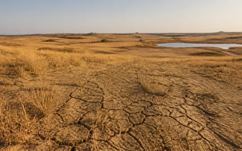 Indígenas na COP17: Exigem Voz Ativa Contra Desertificação e Disputam Narrativas Econômicas