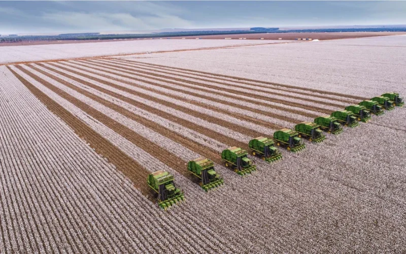 SLC Agrícola: Lucro Dobra em Projeções do BTG com Alta das Commodities e Expansão Estratégica