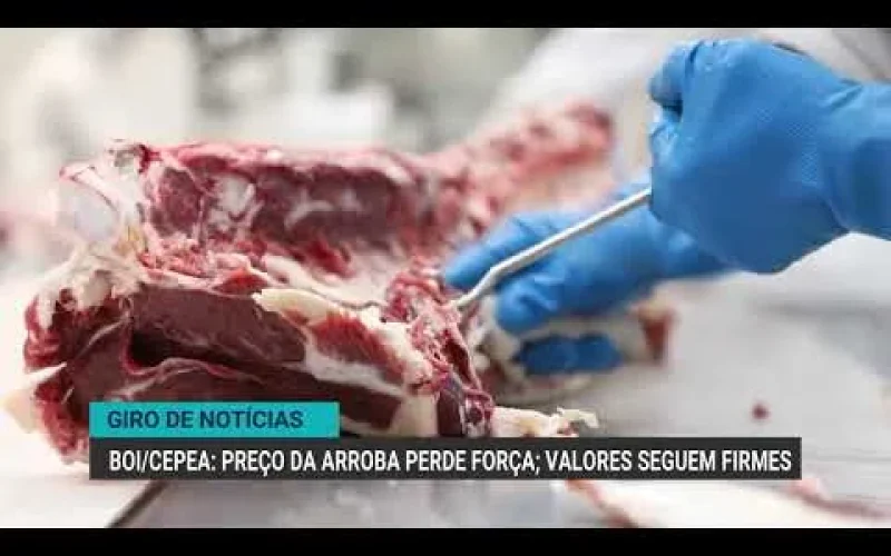 Abiove Eleva Projeção de Farelo de Soja para 2026: O Que Isso Significa Para o Mercado Agrícola Brasileiro?