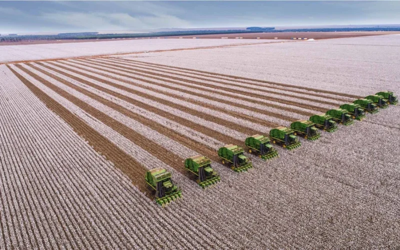 BTG Eleva Projeções de Lucro da SLC Agrícola: O Que Impulsiona a Nova Expectativa de Alta nas Commodities?