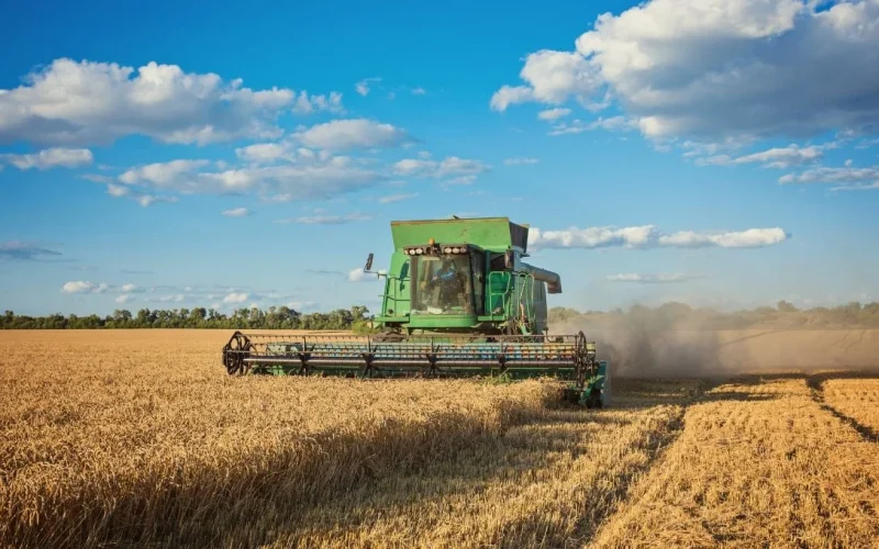 Recuperação Judicial no Agro: O Trampolim que Leva Ativos a Novas Mãos e Preocupa o Setor