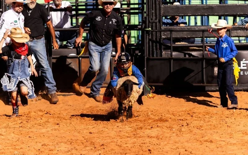 Aos 7 anos, Pedro Luiz é campeão da montaria em carneiros em Barretos: o futuro do rodeio e oportunidades para crianças