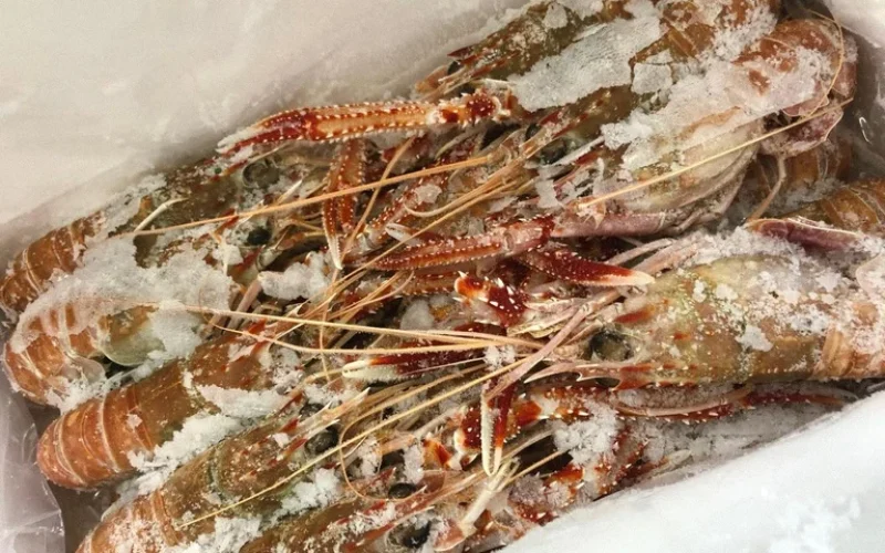 Nova Regra para Pescado: Impulso na Qualidade e Segurança do Camarão e Lagostim no Brasil