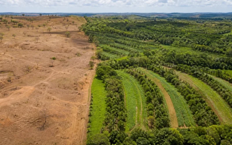 Brasil Revela Plano Audacioso: 163 Mil Km² de Terras Degradadas para Recuperar até 2030