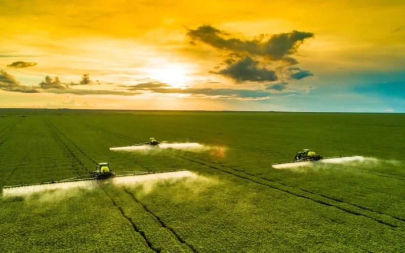 Soja 2026/27: Reduzir Área Plantada Pode Ser Estratégia Financeira Mais Eficiente que Crescer