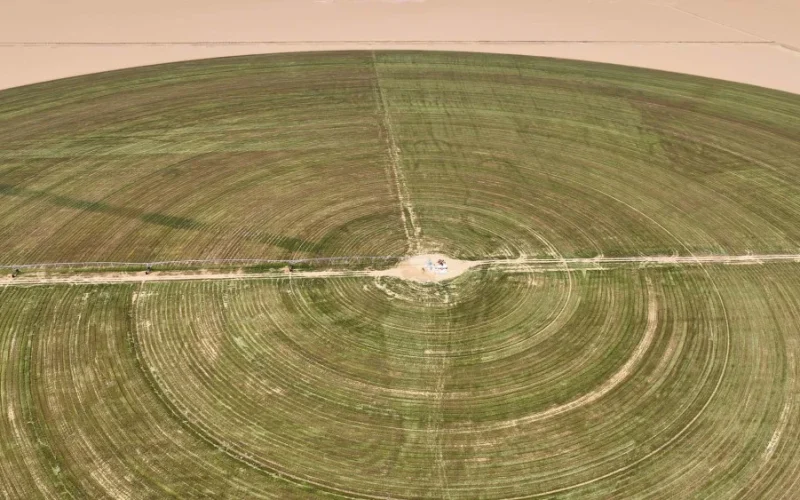Egito Investe US$ 15 Bilhões em Projeto "Faraônico" para Transformar Deserto em Área Agrícola e Garantir Segurança Alimentar