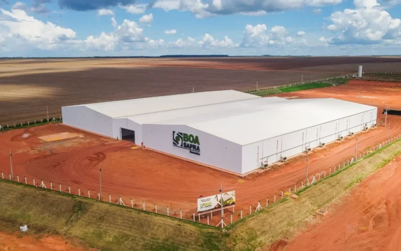 Boa Safra (SOJA3) Garante Mega Financiamento de R$ 332 Milhões da Finep: O Que Isso Significa Para o Futuro da Empresa e Investidores?