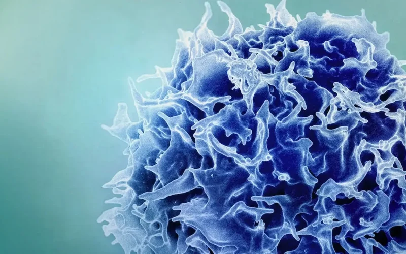 Revolução na Imunoterapia: Nova Vacina Amplifica Resposta Imune Contra Câncer e Doenças Infecciosas