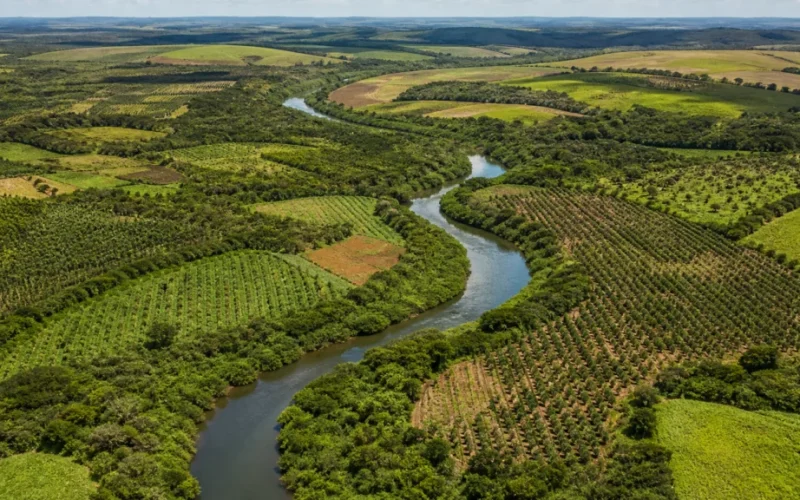 Restaura Rio Doce: Prazo prorrogado para inscrições de projetos de restauração ambiental e produtiva