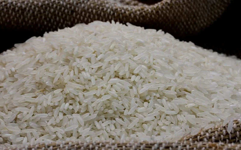 Abiarroz Desafia Pesquisa da Federarroz sobre Qualidade do Arroz Tipo 1: Entenda a Polêmica e o Impacto no Mercado