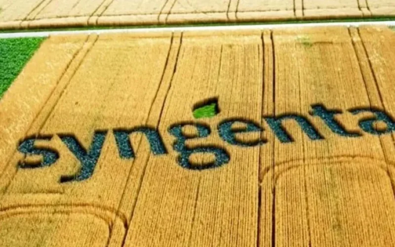 Brasil Surpreende Syngenta: Vendas de Sementes Disparam 18% e Superam Crescimento Global em 2026