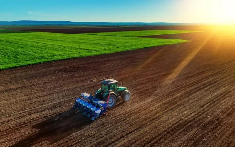 Chuva Surpresa em Setembro de 2026 Alerta Produtores e Investidores: Impactos na Safra Brasileira e nos EUA